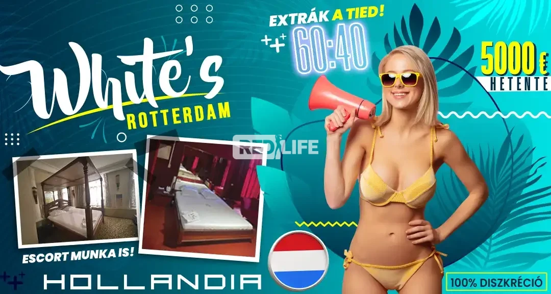 » White's « Luxus erotikus munka legálisan, rengeteg törzsvendéggel Hollandiában, Rotterdam központjában, VIP escort lehetőséggel is